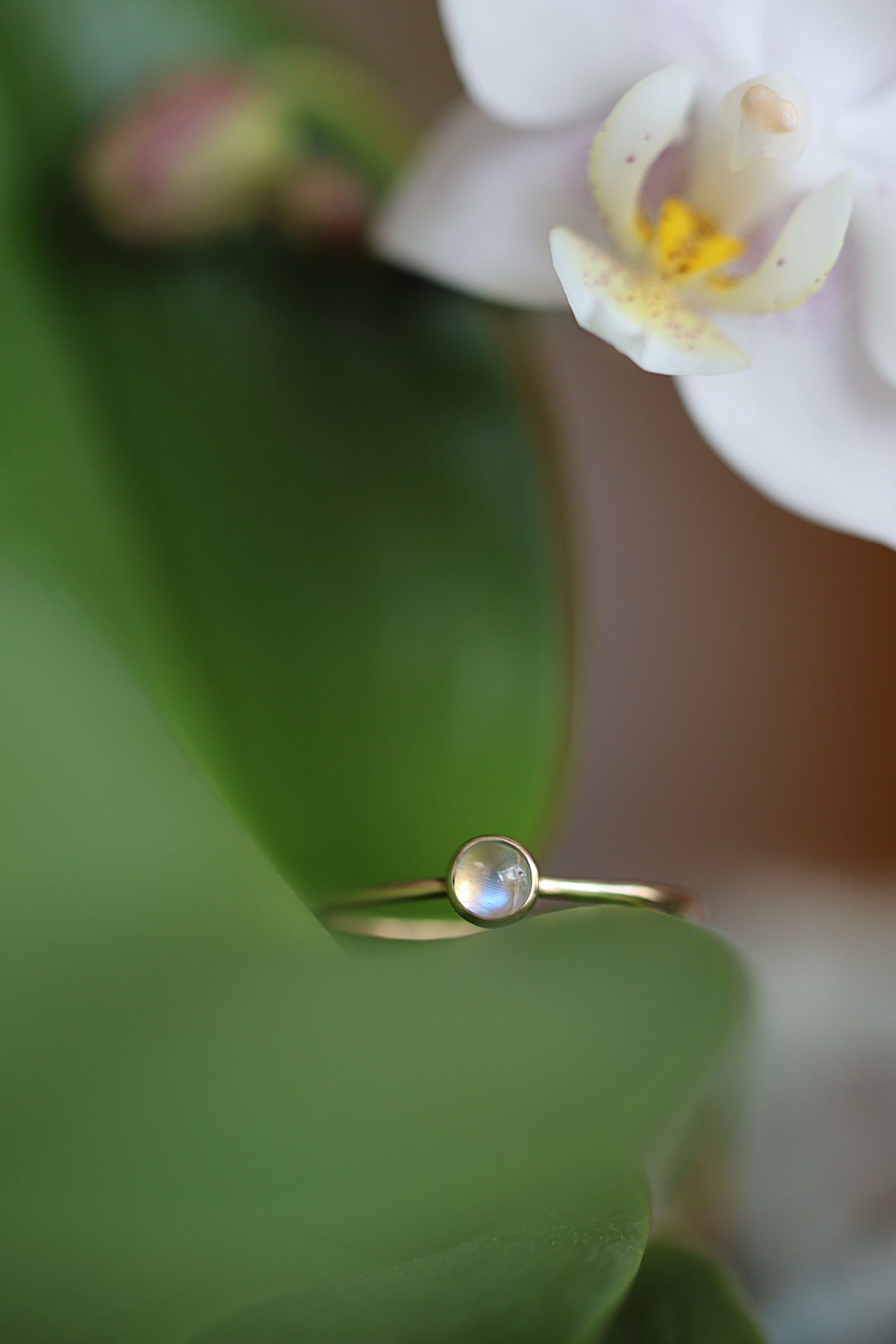 14k Gold Moonstone Ring