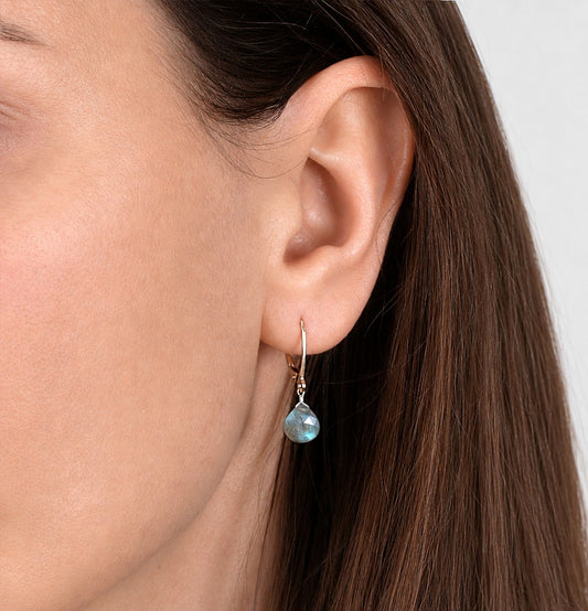 Labradorite Earrings
