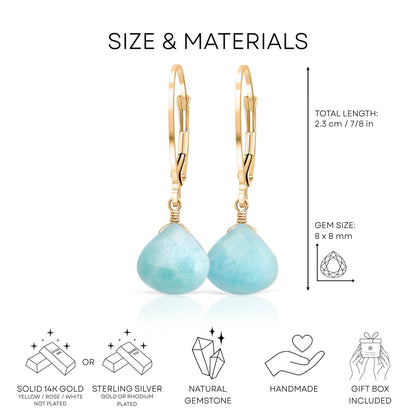 Larimar Dangle Earrings