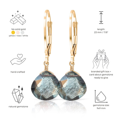 Moss Aquamarine Earrings in 14k Gold