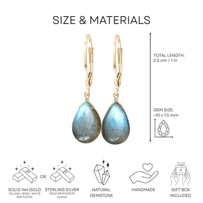 Labradorite Earrings