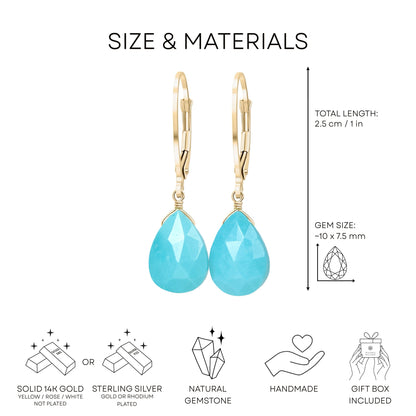 Arizona Turquoise Earrings · December Birthstone