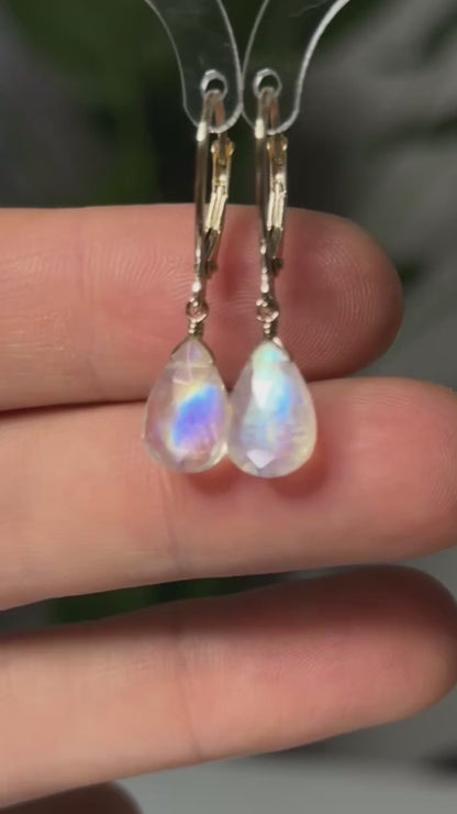 Rainbow Moonstone Earrings