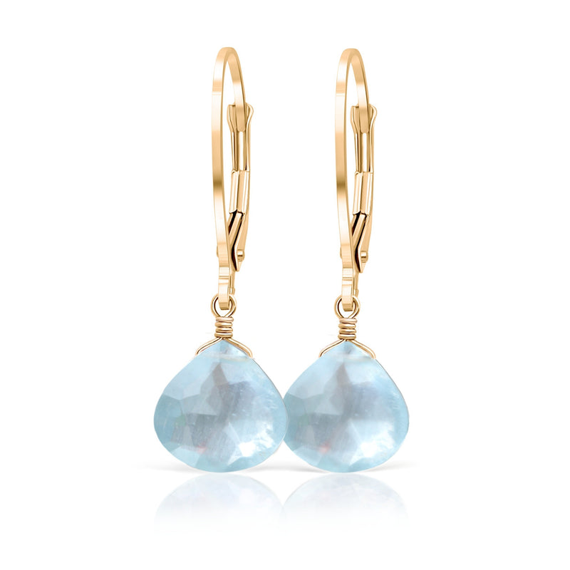 Natural Aquamarine Earrings in 14k Gold